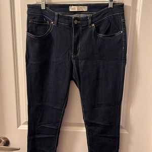 Buckle BKE Payton Skinny Jeans